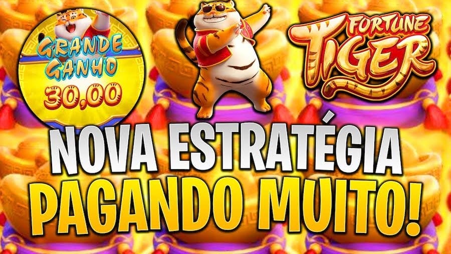 quina 6033 resultado