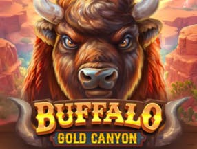 plataforma bingo slots